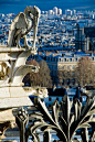 Ile de la Cité, view from Notre Dame, Paris IV