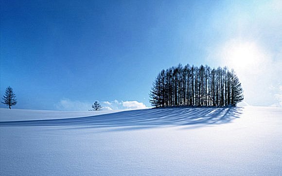 日本北海道雪景