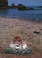 Goldsworthy: 