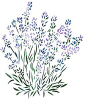 Lavender Stencil -  Inspiration for watercolor  ;)