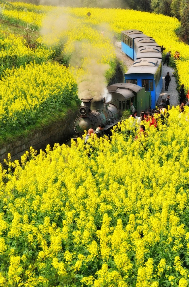 Steam Train, JiaYang...