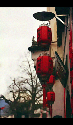 杏幸子采集到图片