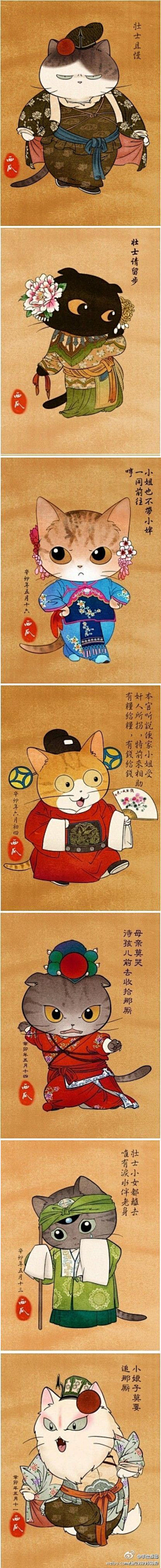 gono采集到猫