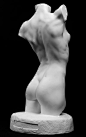 #SAI资源库#动漫 男性石膏像人物的肌肉、手臂、背、姿势构架绘画参考，非常实用，值得收藏借鉴，转需~