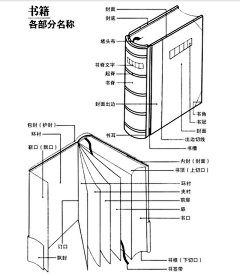 予以青颜采集到杂纸·纸趣