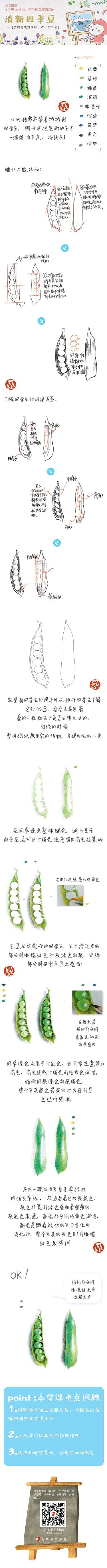 彩铅 教程 四季豆 植物 食物 蔬菜