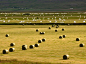 Naked tractor eggs in Varmahlid, Iceland…_来自花未夜的图片分享-堆糖网