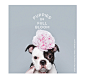 W CONCEPT : W컨셉 - [WHITE BLANK:화이트블랭크] [PIFB] PUPPY POST CARD (BLUE)