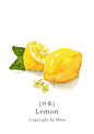 Lemon 柠檬