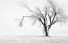 ｀︶独家记忆采集到雪