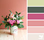 Design Seeds : Design Seeds color palettes ... posted daily for all who love color.