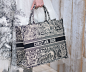 Dior's Cruise 2019 Bags are the Brand's Best So Far Under Maria Grazia Chiuri - PurseBlog : At Dior, the switch from popular artistic director Raf Simons to Maria Grazia Chiuri, the (also quite popular) co-artistic director at Valentino, was a stark one. 