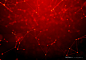 红色射线肌理背景素材 jpg 20 Red Abstract Plexus Backgrounds_平面素材_纹理图案_模库(51Mockup)