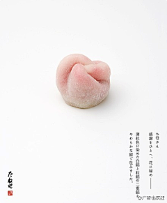 钱Echizen采集到甜甜的甜点