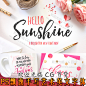 PS设计素材 飘逸手写艺术英文字体 LOGO海报字体素材 Sunshine-淘宝网