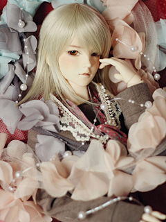 暖暖的风采集到SD娃娃/Super Dollfie