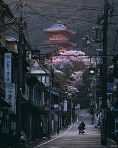 鉴晟采集到街道