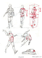 #自学美术资料集#  人体结构动态系列