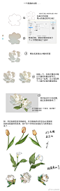 rina狗弟弟的照片 - 微相册
花朵绘制教程