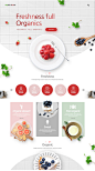 绿色有机蔬菜食品餐饮水果品牌企业官网站网页UI海报设计模版素材 - 设汇 : 喜欢