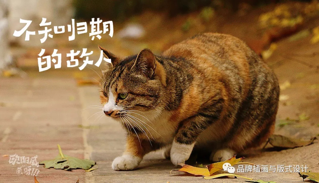 9439b1fa7f6ea23bd4a67213462076aadcc5d8f2198da-BRksUY