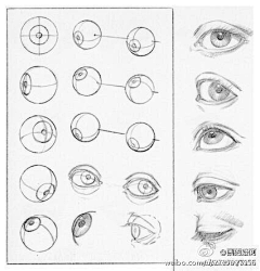 moonwing采集到画眼睛