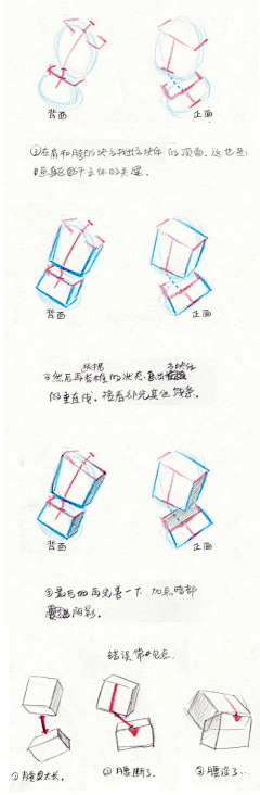 友兮友兮采集到绘画教程