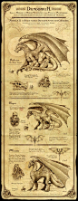 Dragonkin I by Feliche on deviantART chart | Create your own roleplaying game material w/ RPG Bard: www.rpgbard.com | Writing inspiration for Dungeons and Dragons DND D&D Pathfinder PFRPG Warhammer 40k Star Wars Shadowrun Call of Cthulhu Lord of the R