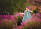 Photograph May Flowers 2 by Suzy Mead on 500px