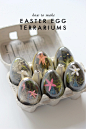 Holidays & Celebrations / Easter egg terrariums