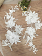 Exquisite Wedding Lace Applique in Ivory Mirror Image  Bridal