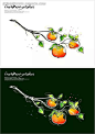 手绘成熟的橙色果子背景素材|插画|成熟的果子|底纹|绿色背景|绿叶|矢量素材|手绘|树枝|水果