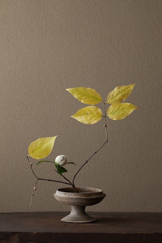 Ikebana by Toshiro K...