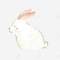 素描小白兔 设计图片 免费下载 页面网页 平面电商 创意素材