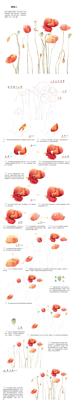 浅笑小彬采集到水彩