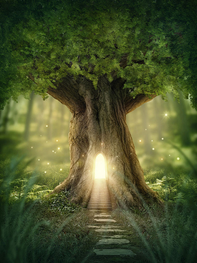 森林中的大树与光明之门高清图片