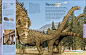 Dinosaurs: A Visual Encyclopedia - spread