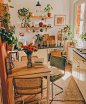 Photo by Bohemian interior Decor on June 22, 2021. May be an image of flower and indoor.
