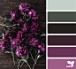 { flora palette } image via: @kimklassen