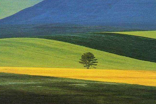 色彩構成。Franco Fontana ...