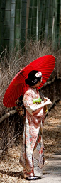 Japanese Women ~ Kimono