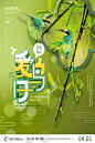 小清新国际爱鸟日保护鸟类宣传海报