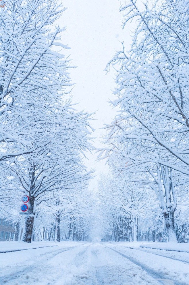 北海道大学雪天风景图片 雪景图片_旅游_...