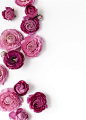 Styling and Photography by Shay Cochrane | http://www.shaycochrane.com | pink, florals, floral styled stock: 