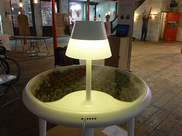生态植物能源桌灯 - 创意酷