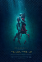 The Shape of Water