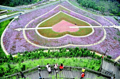 鱼住采集到策划——美丽乡村