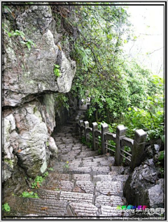 sunfangyin采集到烟雨象鼻山 --- 桂林阳朔