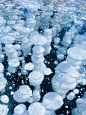 赛里木湖的气泡冰