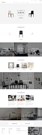 Delphinus - Creative eCommerce PSD template